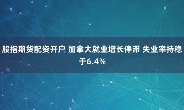 股指期货配资开户 加拿大就业增长停滞 失业率持稳于6.4%